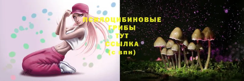 Псилоцибиновые грибы Magic Shrooms  где купить   Тольятти 